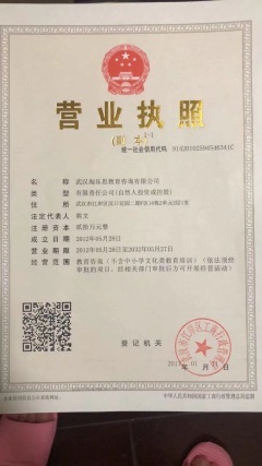 武汉淘乐思教育咨询公司 深耕教育咨询，赋能学习未来